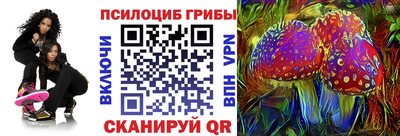 Галлюциногенные грибы Magic Shrooms  Черногорск 